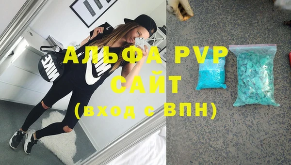 стаф Аркадак