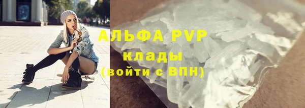 стаф Аркадак