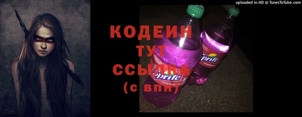 хмурый Сосновка