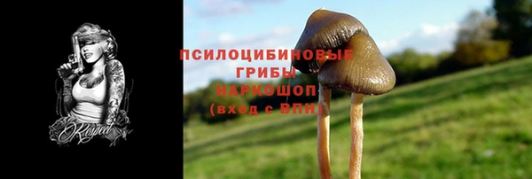 индика Баксан
